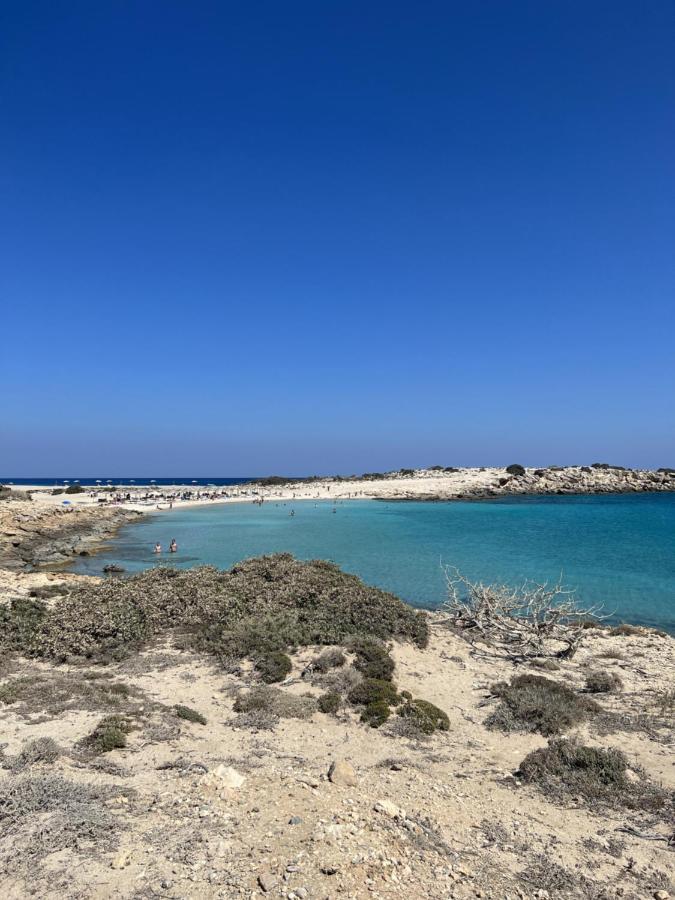 Villa Hellas Afiartis المظهر الخارجي الصورة